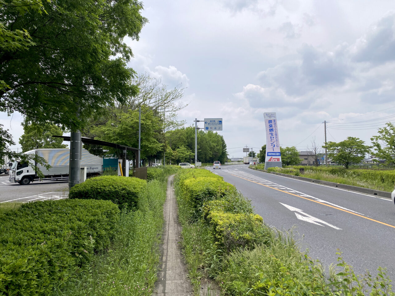 道の駅童謡のふる里おおとねと県道46号線