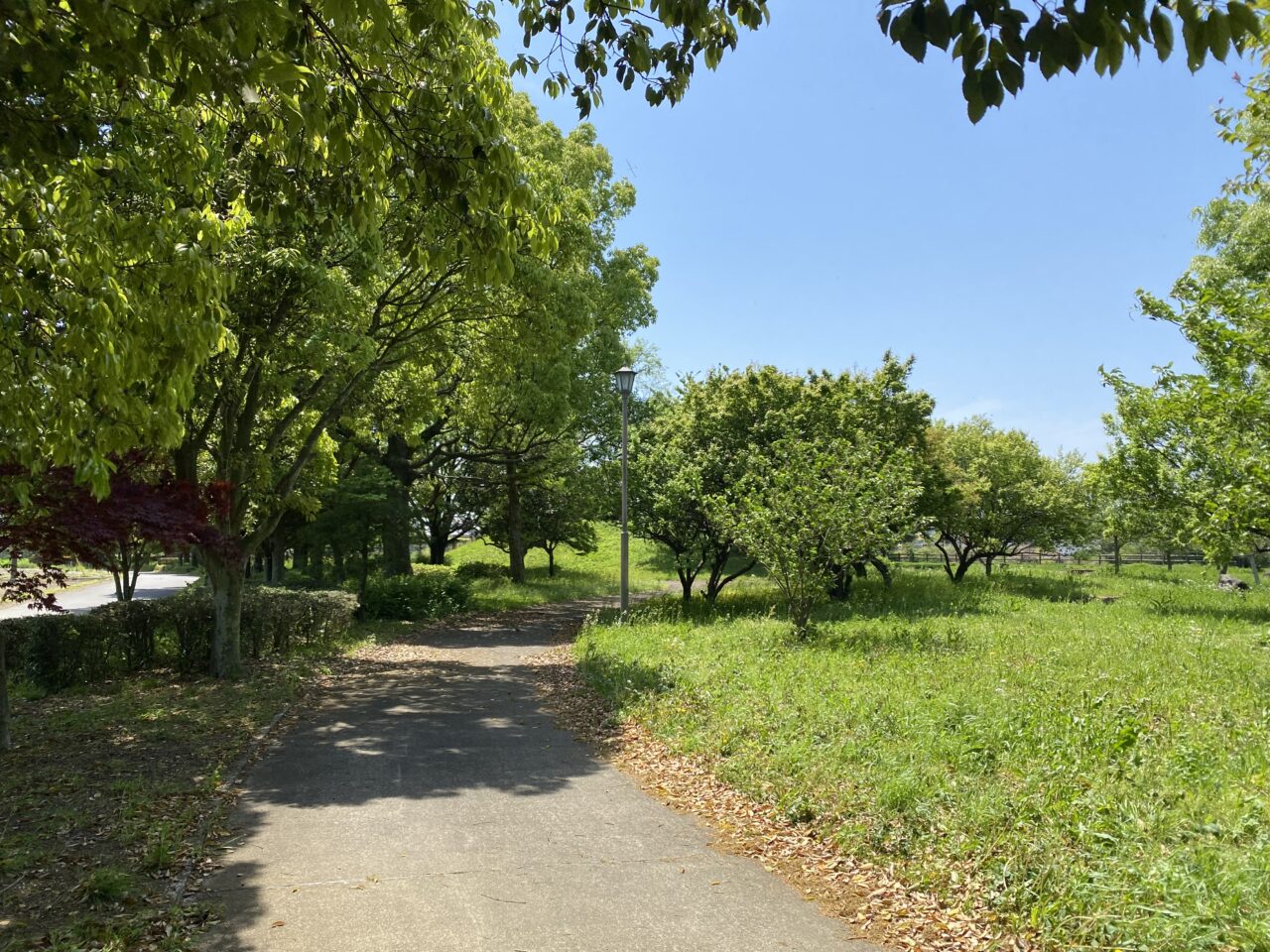 旧川ふるさと公園（ピクニック広場）