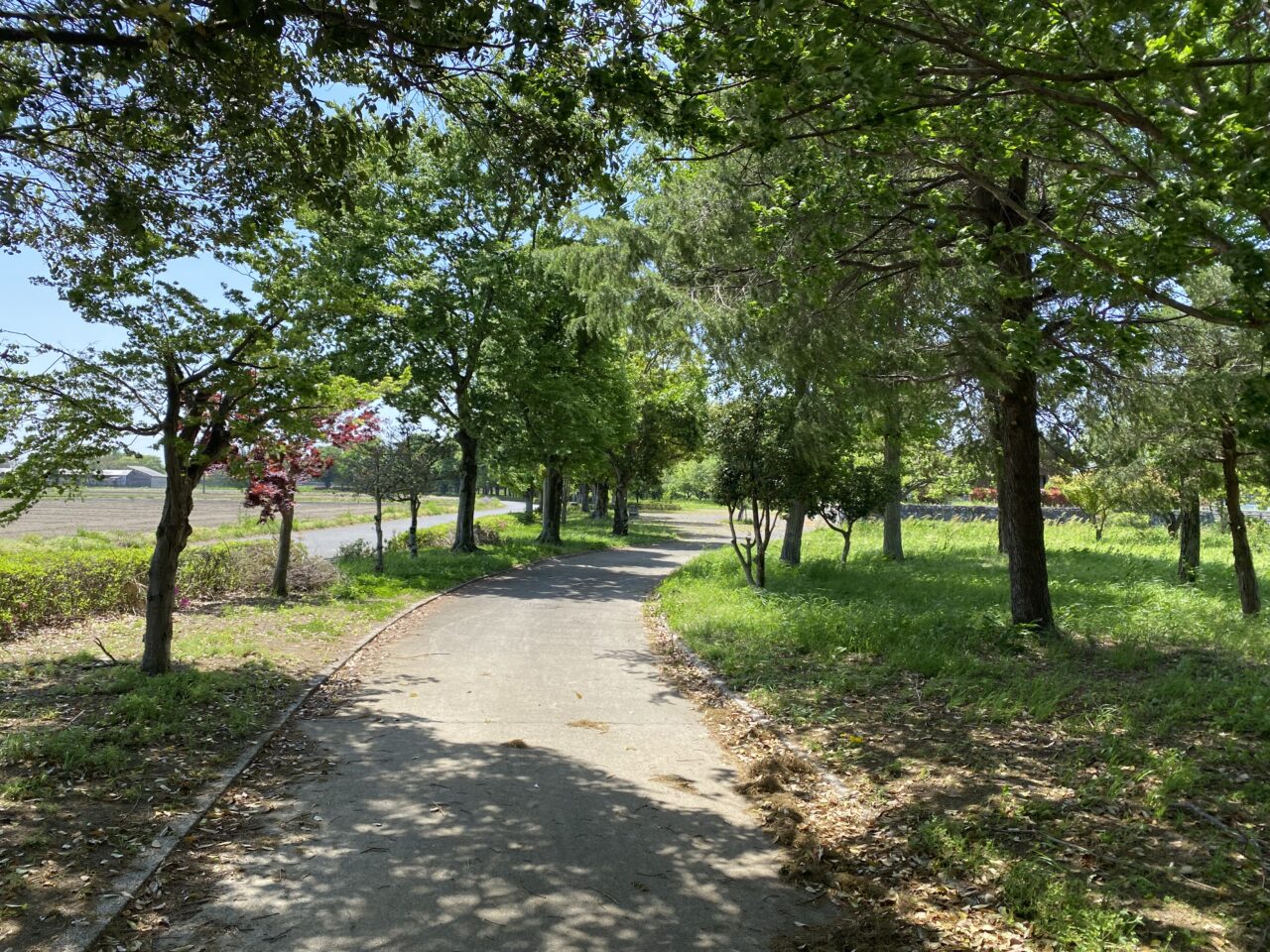 旧川ふるさと公園（四季の森）