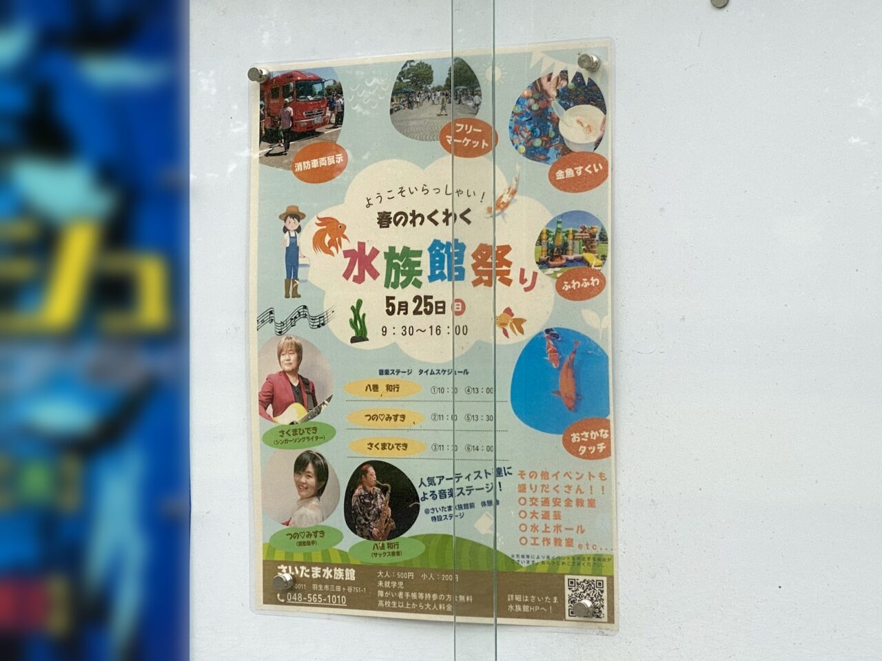 水族館祭りポスター