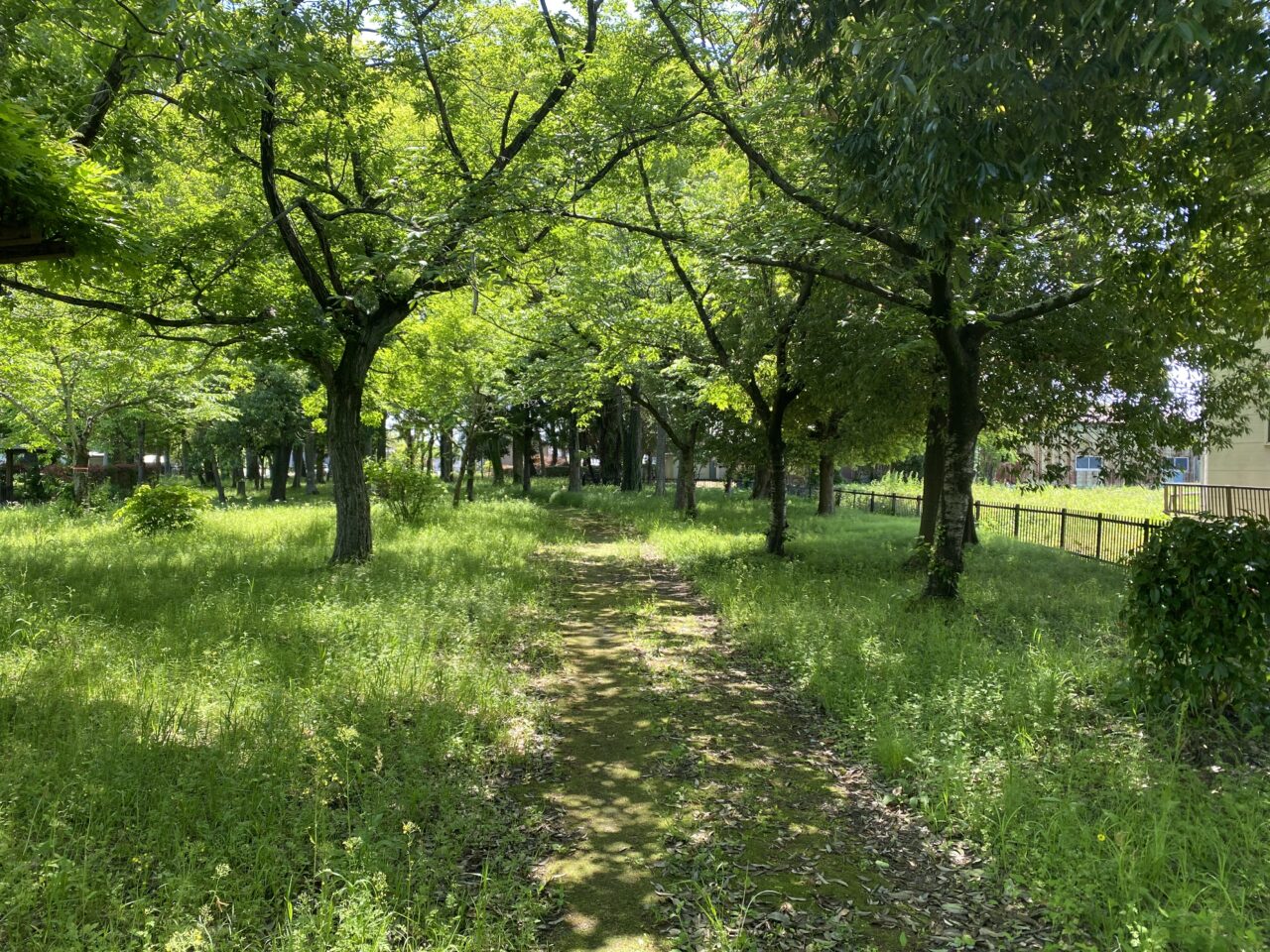 種垂城趾公園の散策路