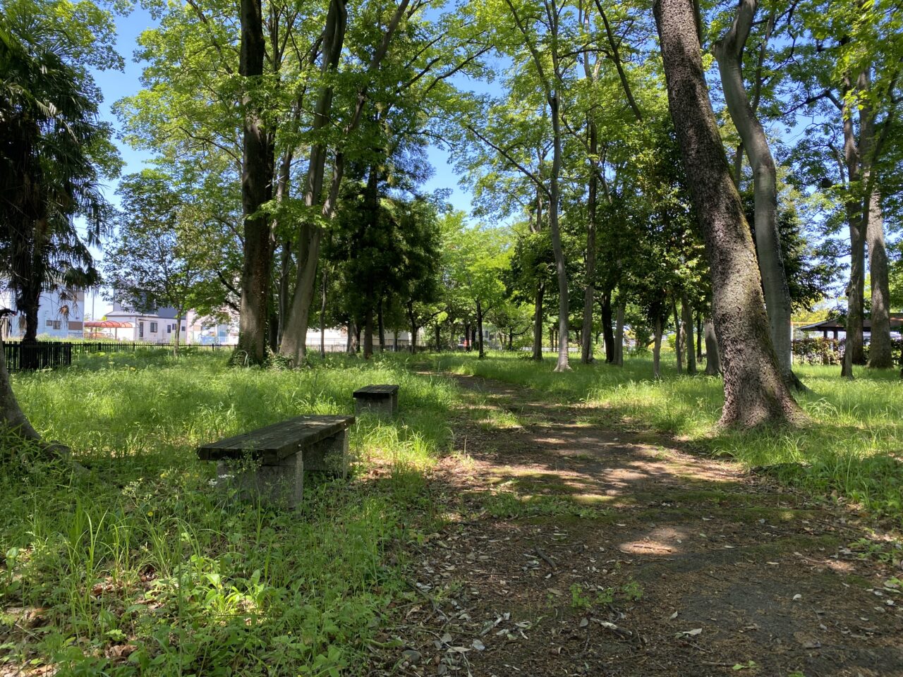 種垂城趾公園の散策路とベンチ