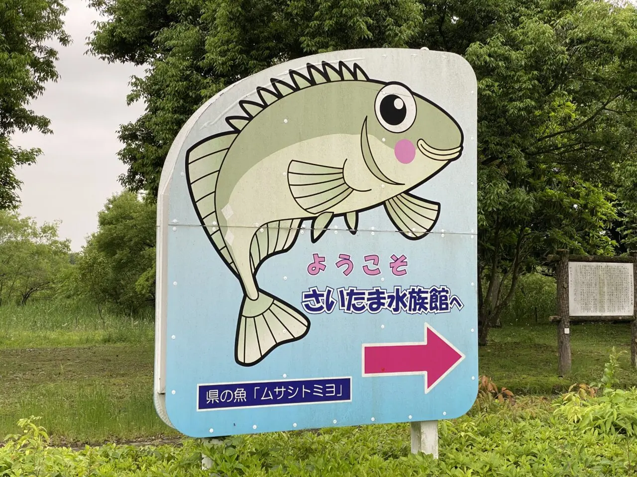 ようこそさいたま水族館へ