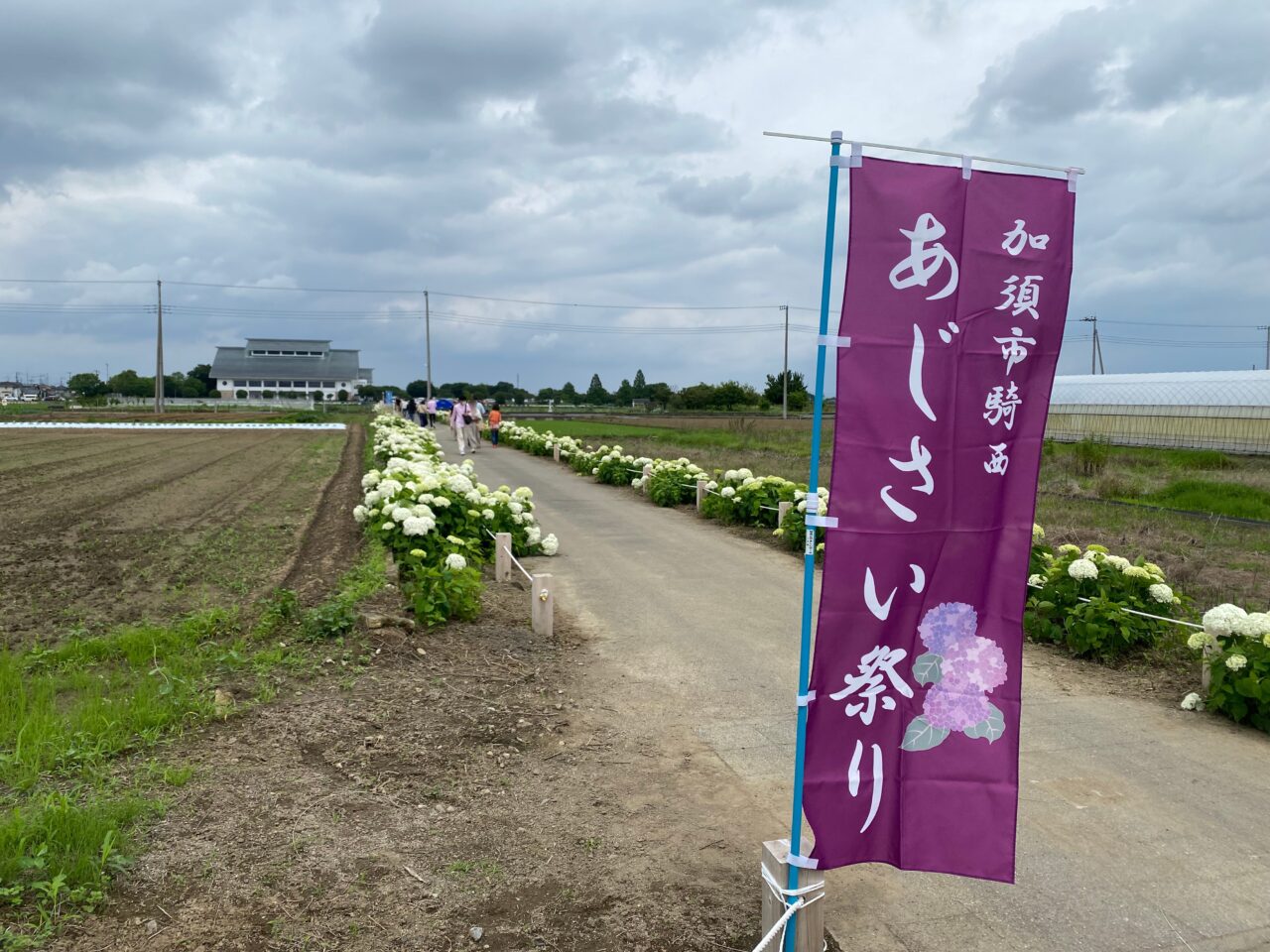 加須市騎西あじさい祭りののぼり旗
