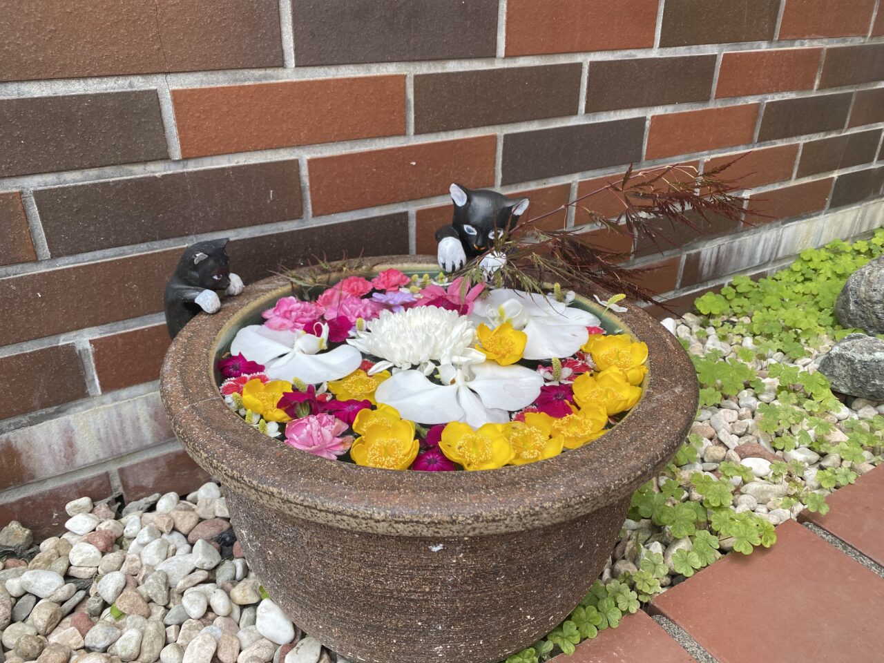 ヒラモトの花手水