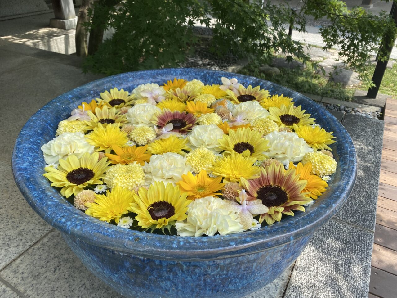 行田八幡神社拝殿前の花手水