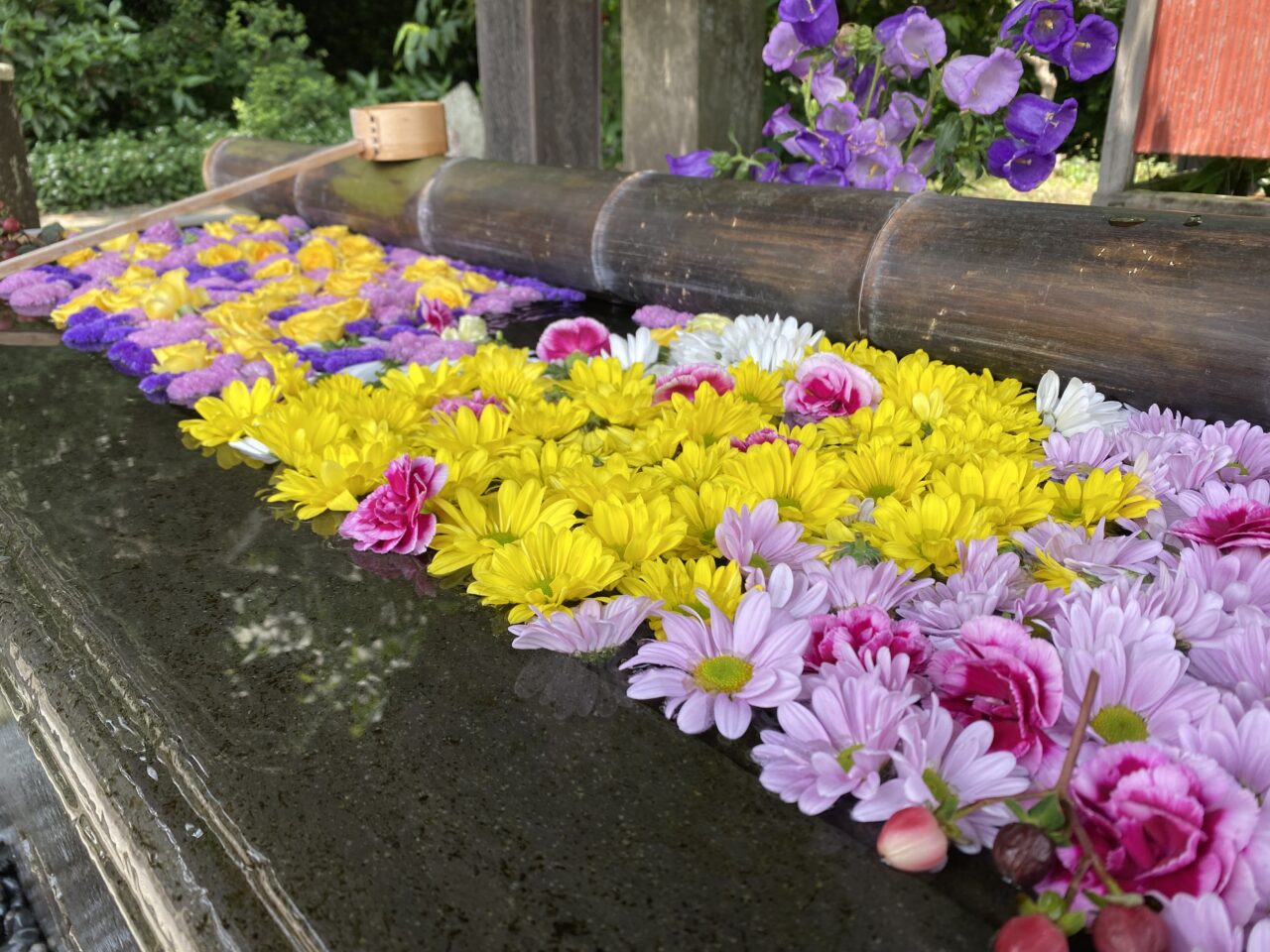 前玉神社の花手水