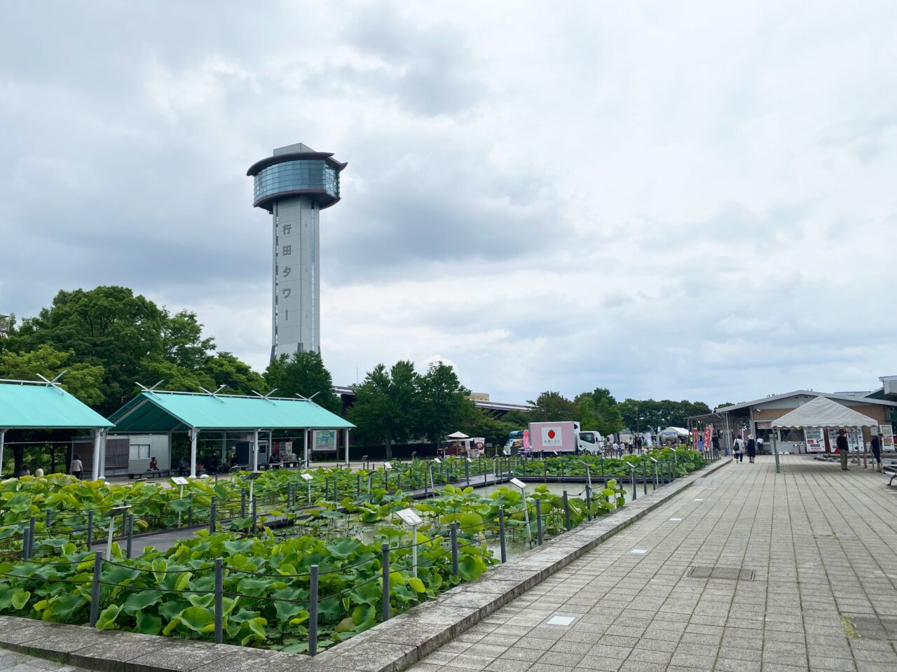 世界の蓮園