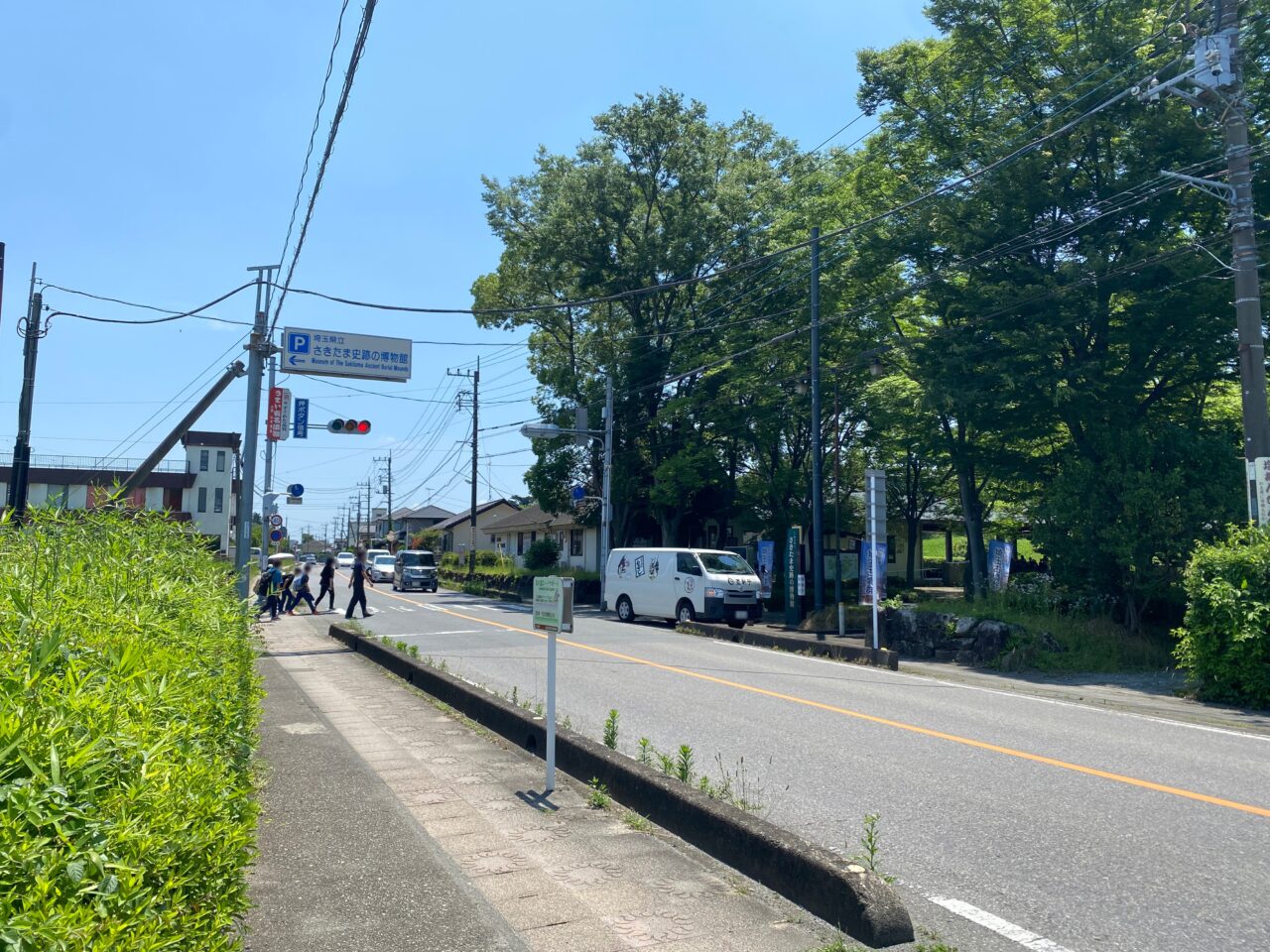 さきたま史跡の博物館前の古墳通り（県道77号線）