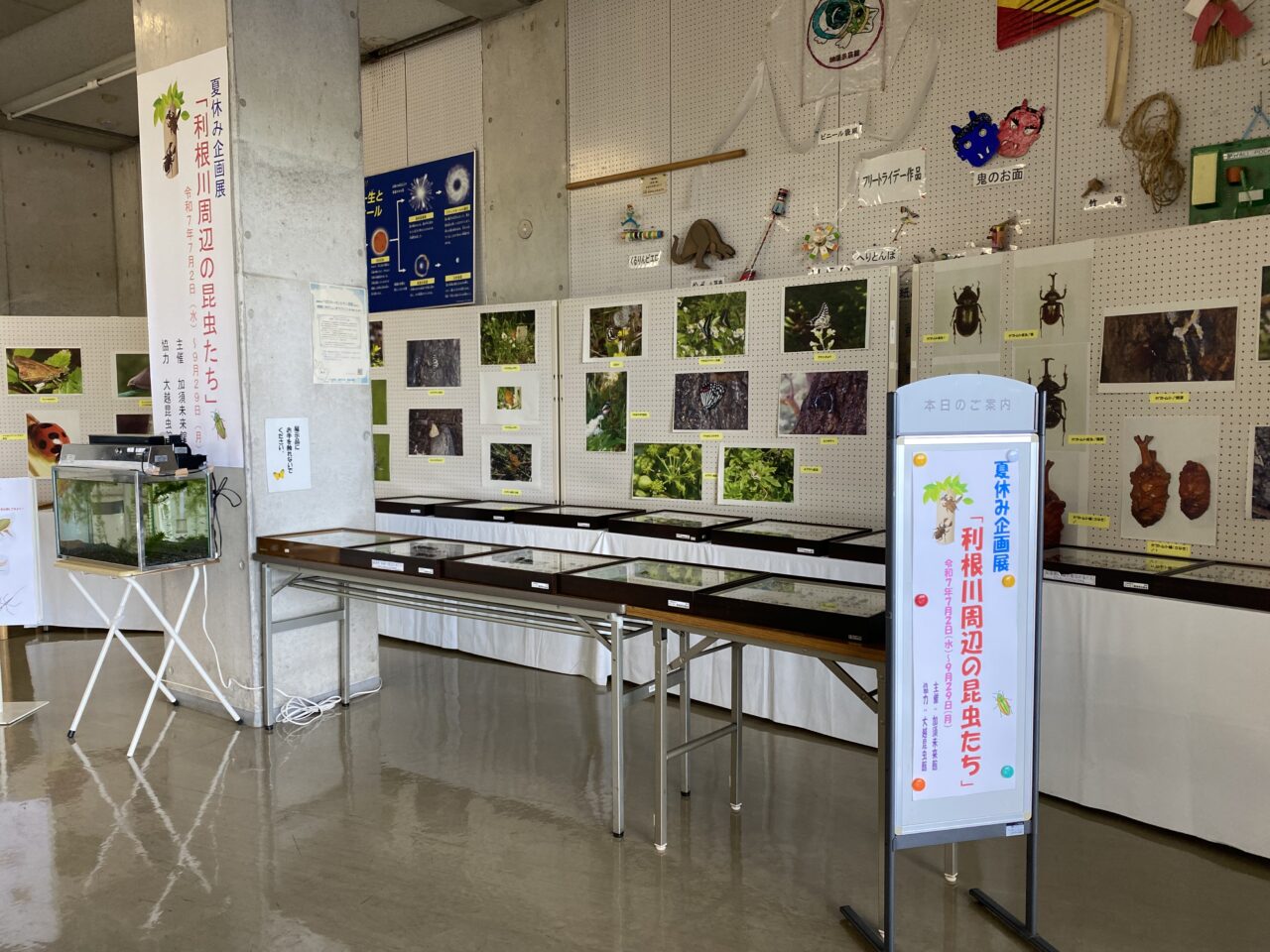 夏休み企画展