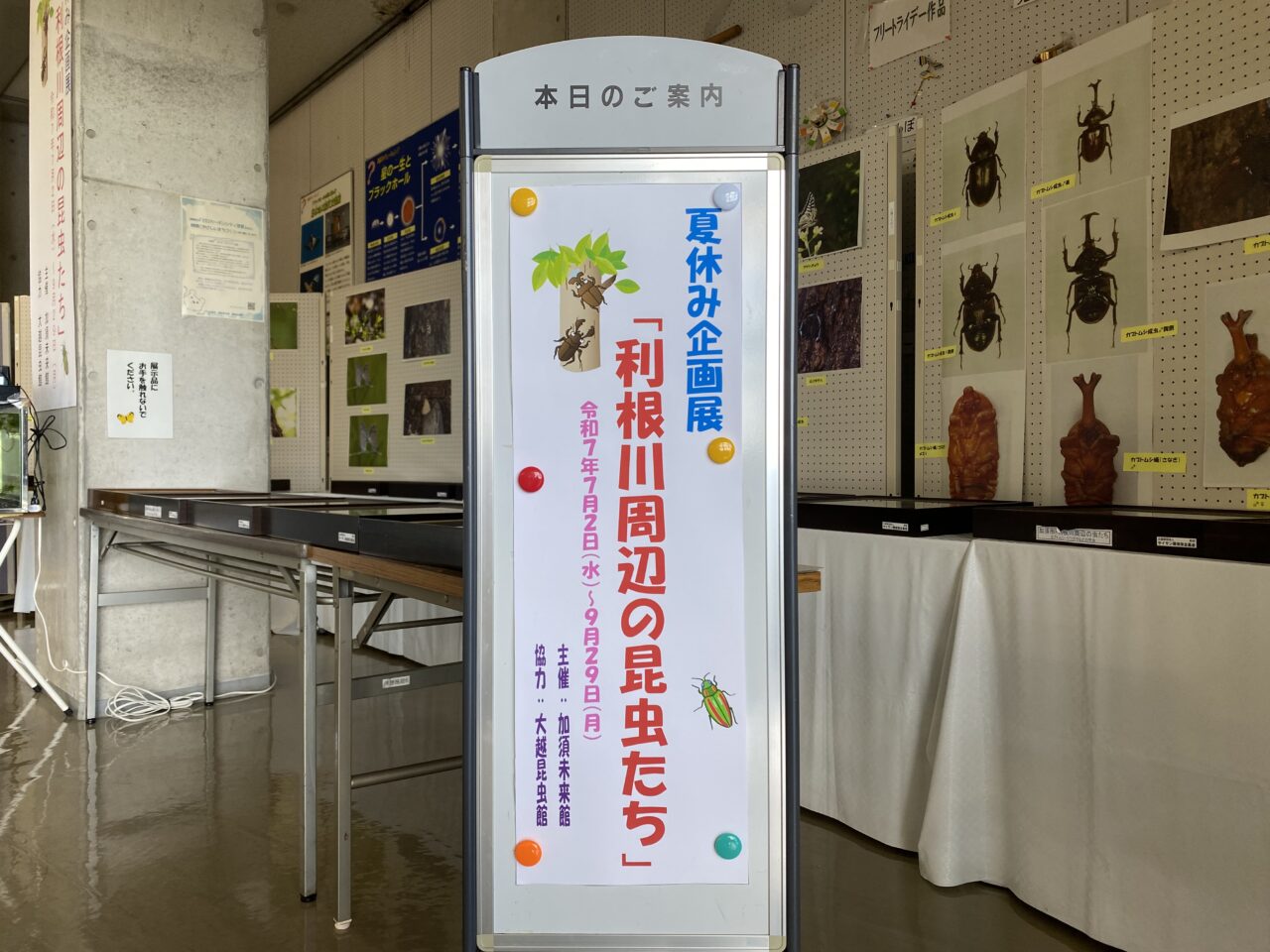 夏休み企画展「利根川周辺の昆虫たち」
