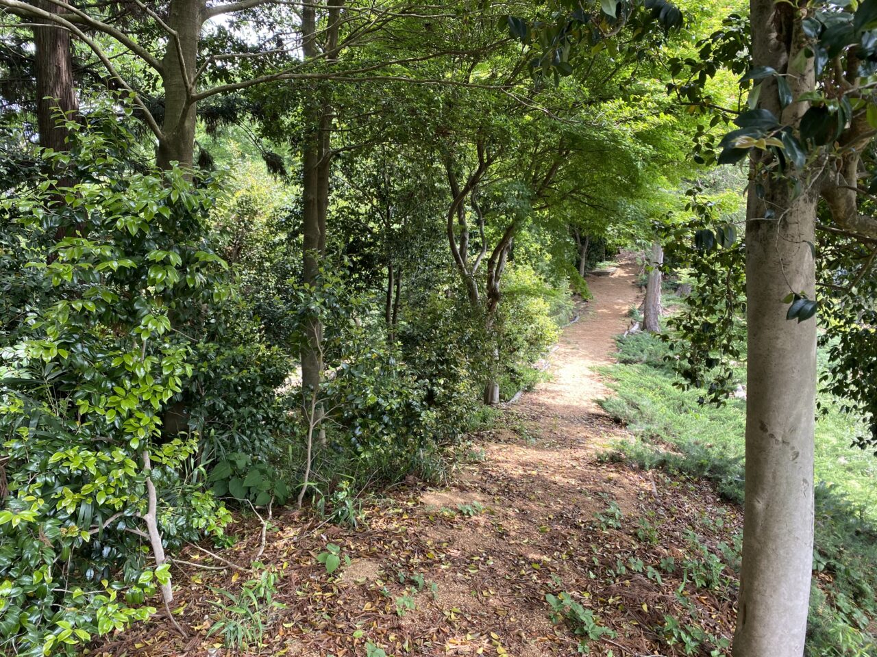 小見真観寺古墳の墳頂