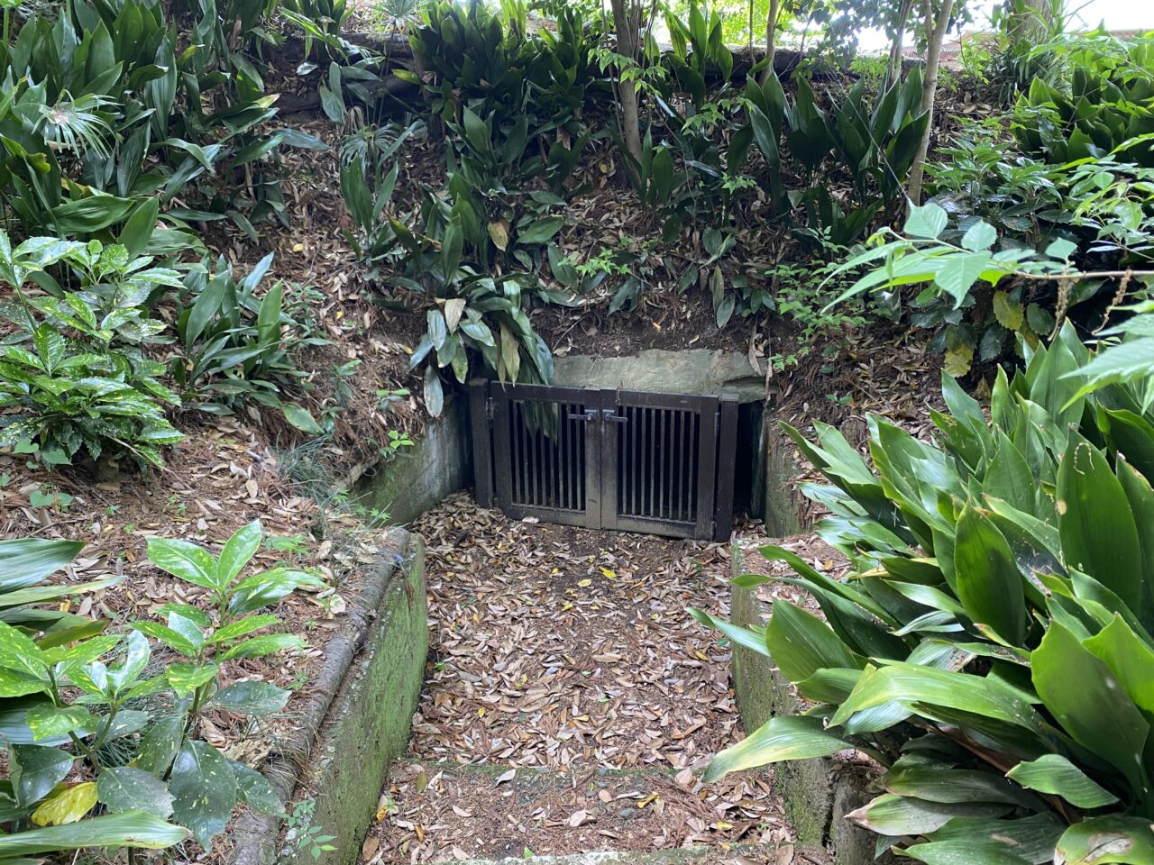 小見真観寺古墳の鞍部にある石室