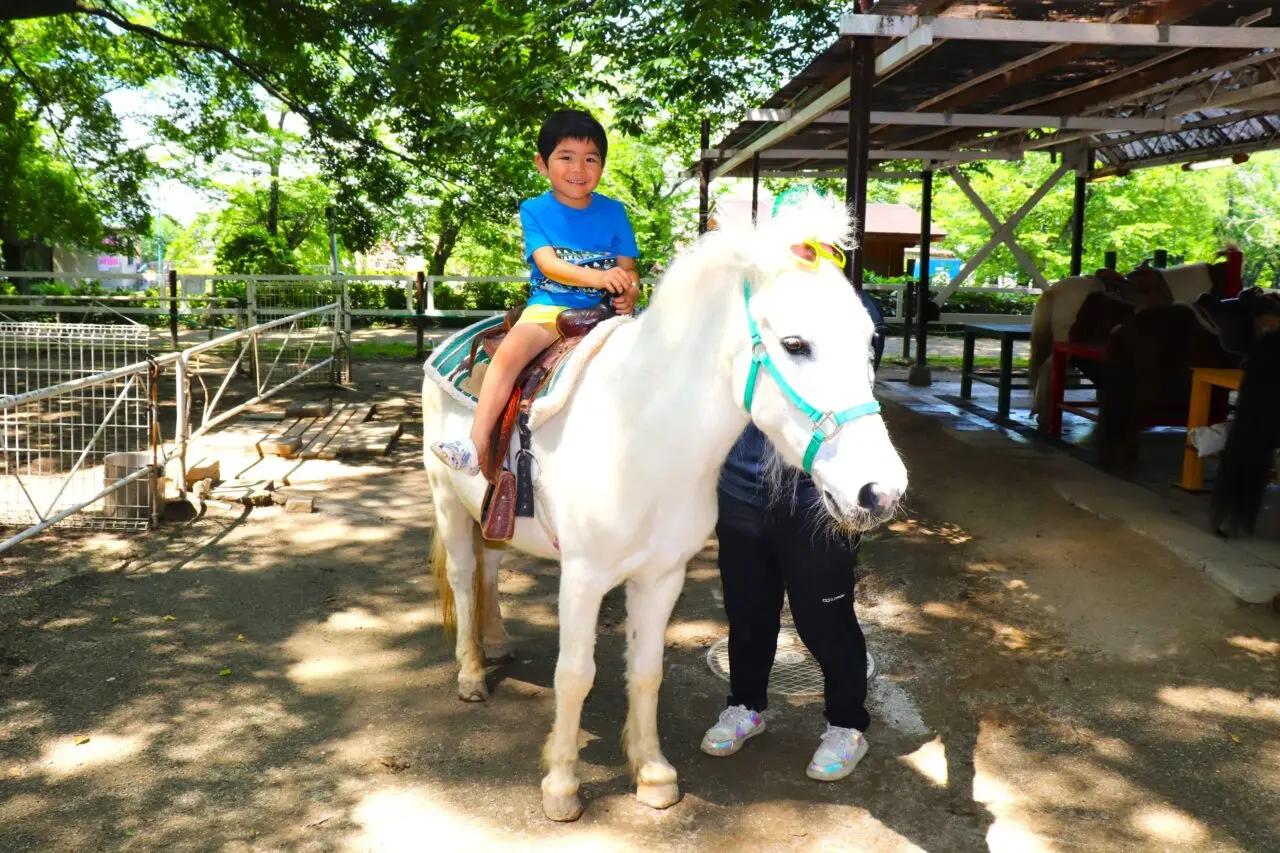 ふれあい牧場でポニーに乗馬