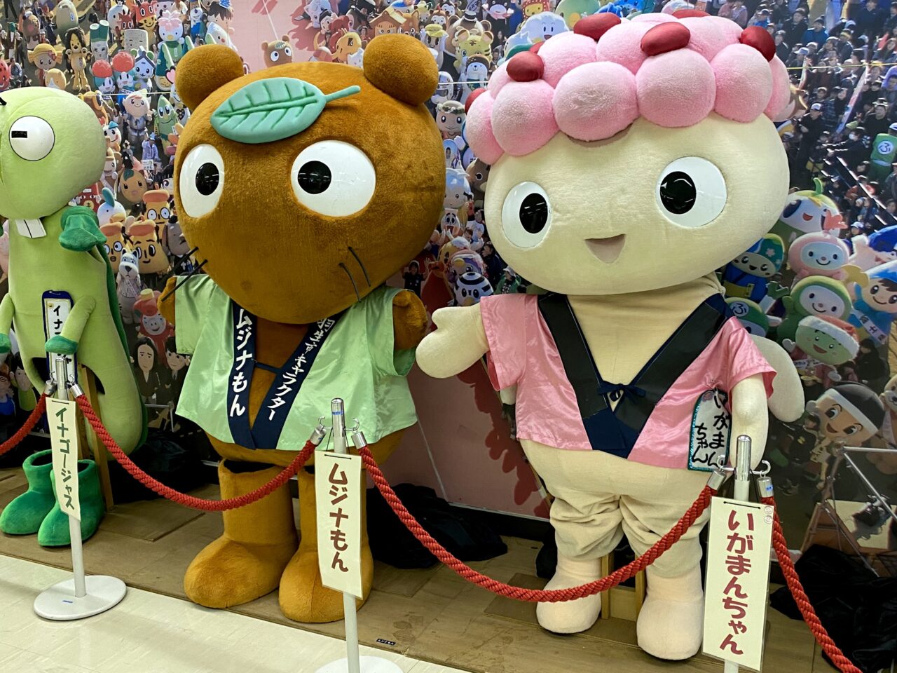 ムジナもん