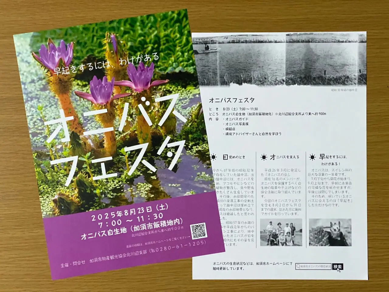 オニバスフェスタのチラシ