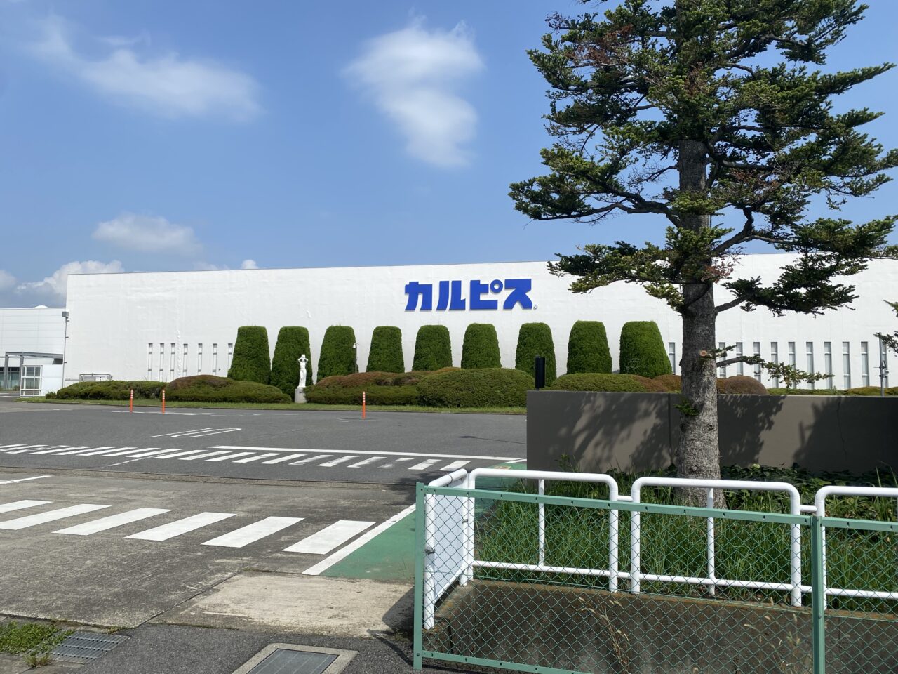 カルピスのロゴを掲げたアサヒ飲料の工場