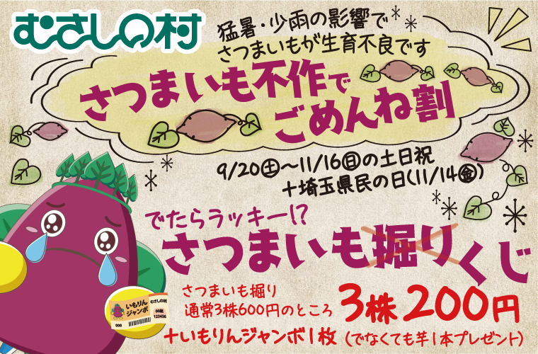 さつまいも不作でごめんね割