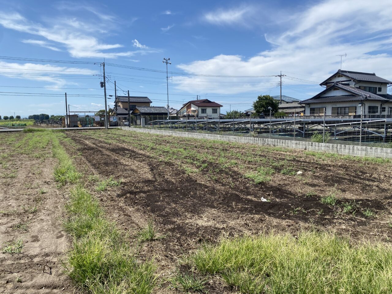 ひろぱんの小麦畑