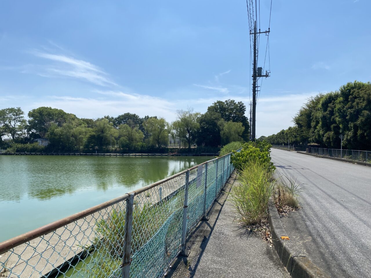 大沼公園の横