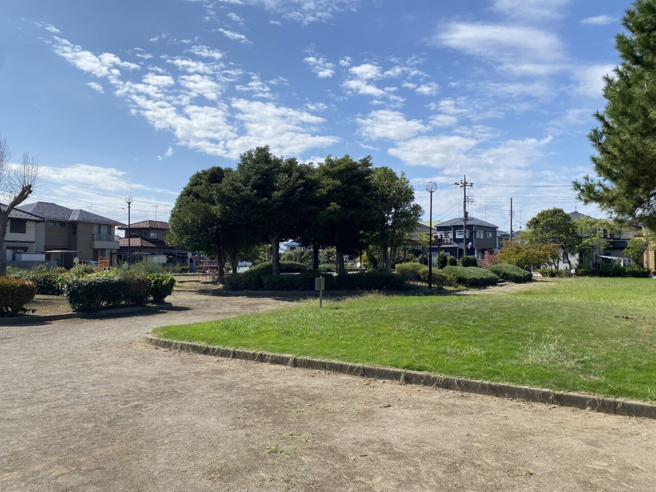 旭町公園の芝生