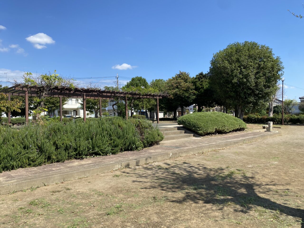 旭町公園藤棚のステージ