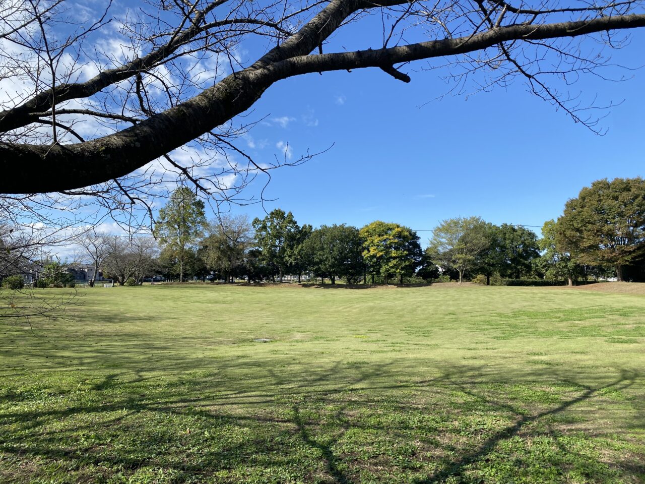 騎西総合公園の芝生広場
