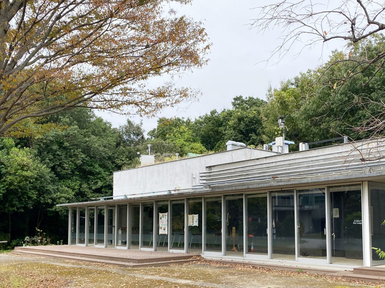 エコロッジ