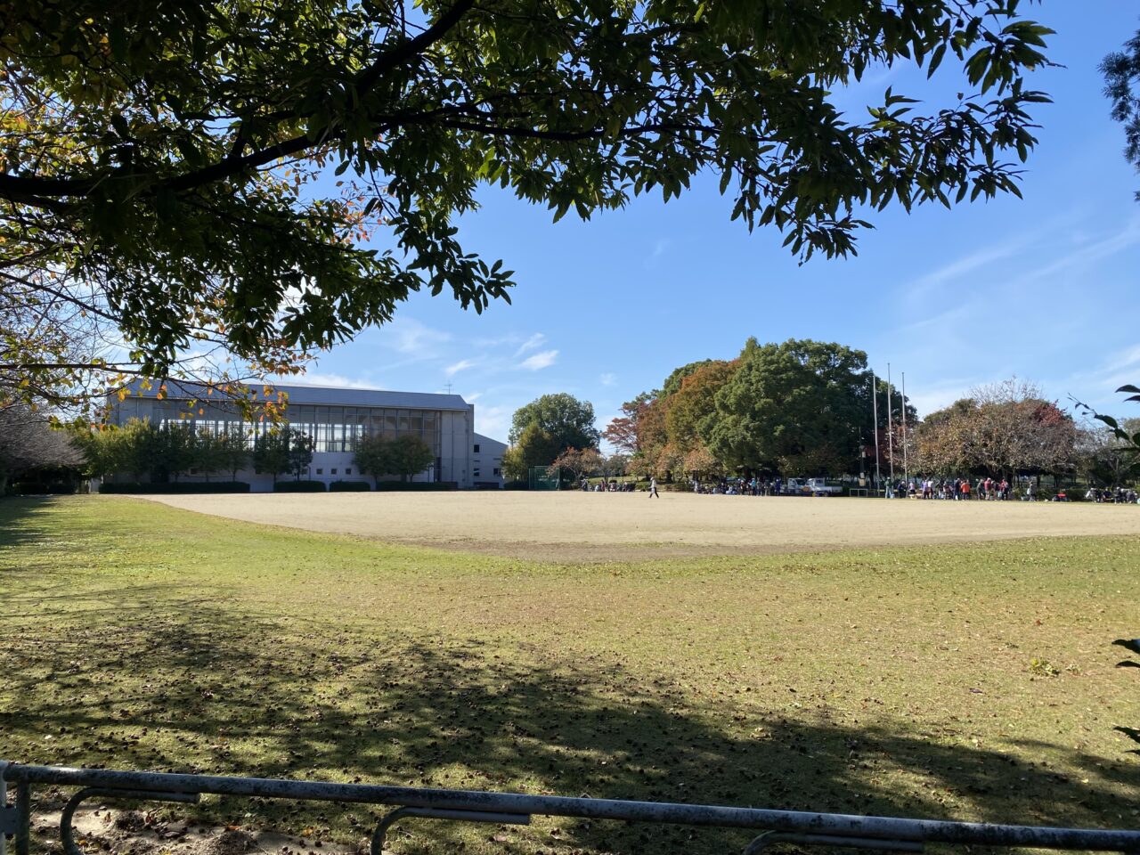 大利根運動公園自由広場