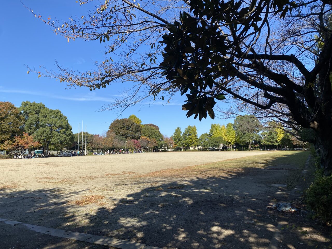 南側から見た大利根運動公園自由広場