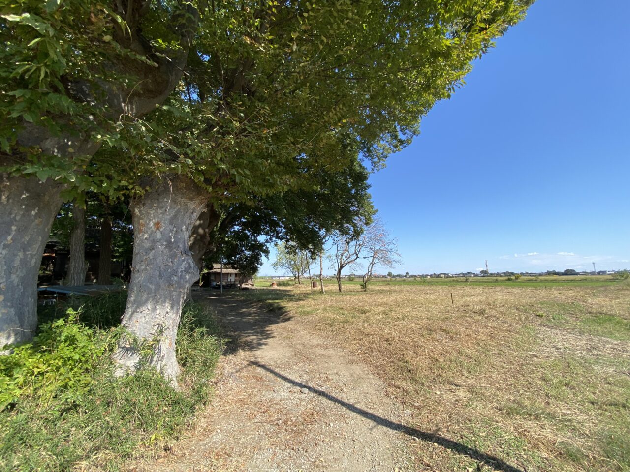星河花火大会で自由席が設けられるエリア