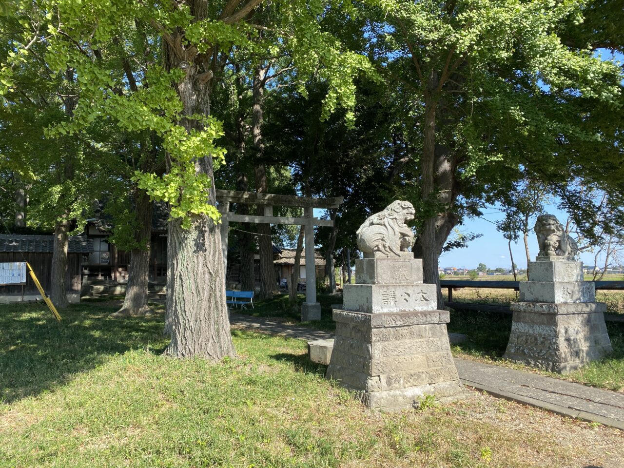 斎条劍（さいじょうつるぎ）神社の参道