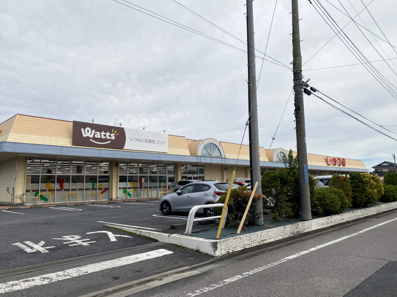 ワッツとカスミ