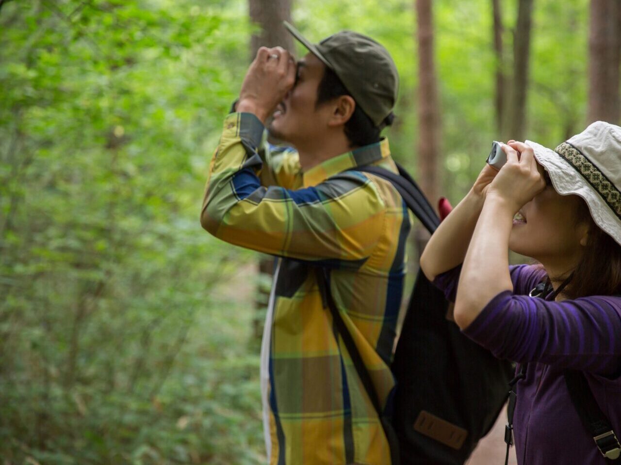 探鳥ハイキングのイメージ