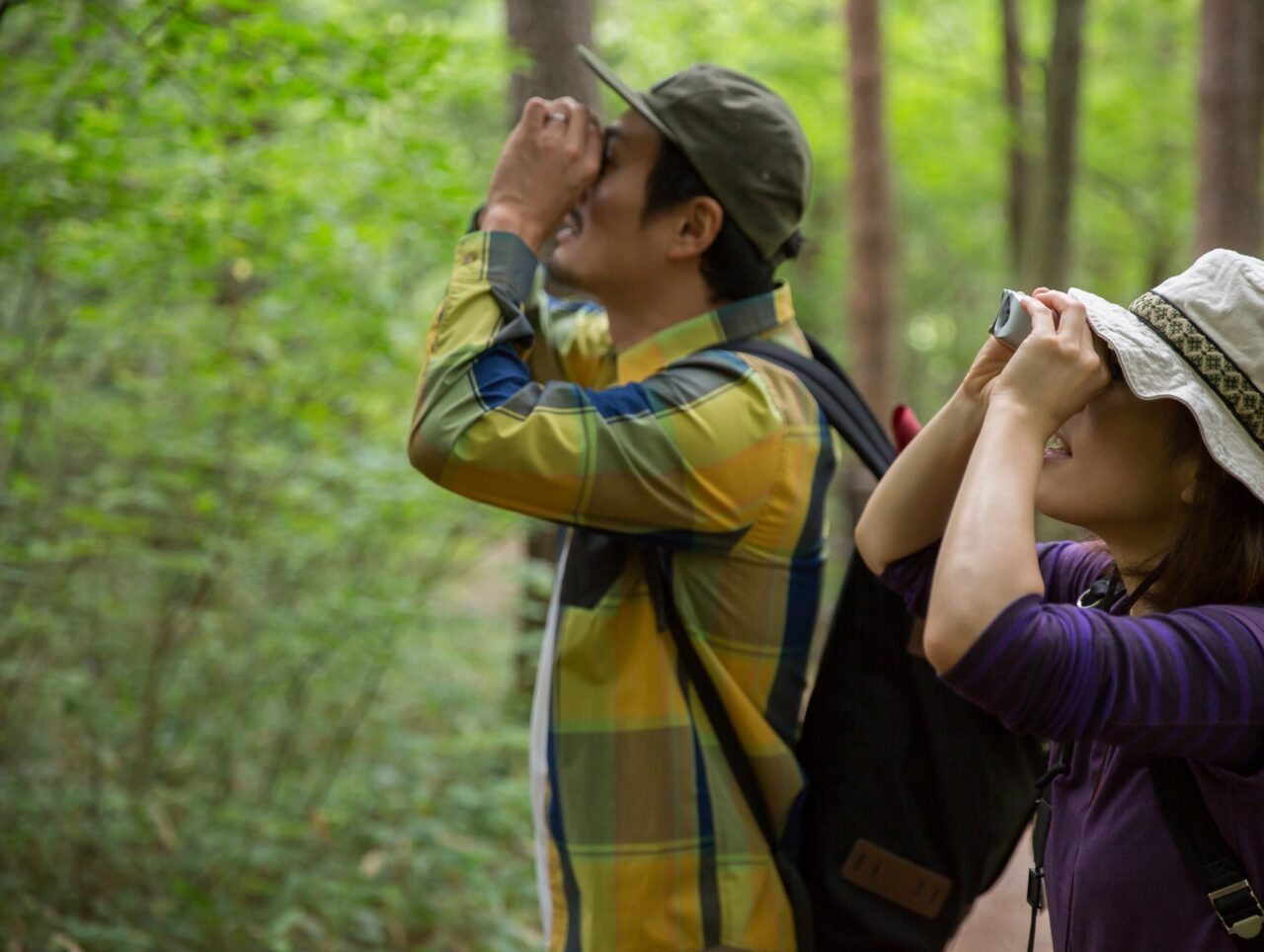 探鳥ハイキングのイメージ