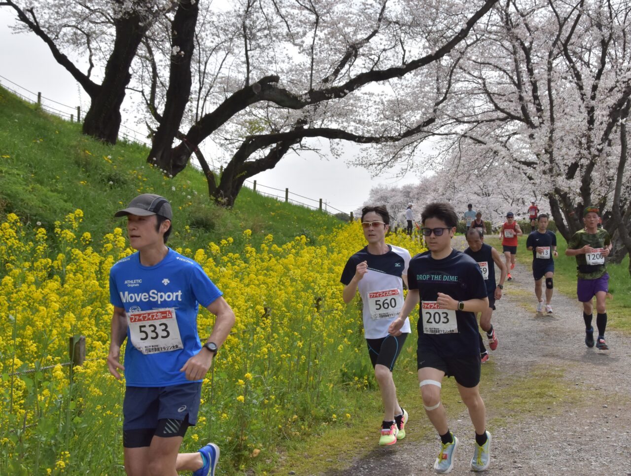 桜並木を走るランナーたち