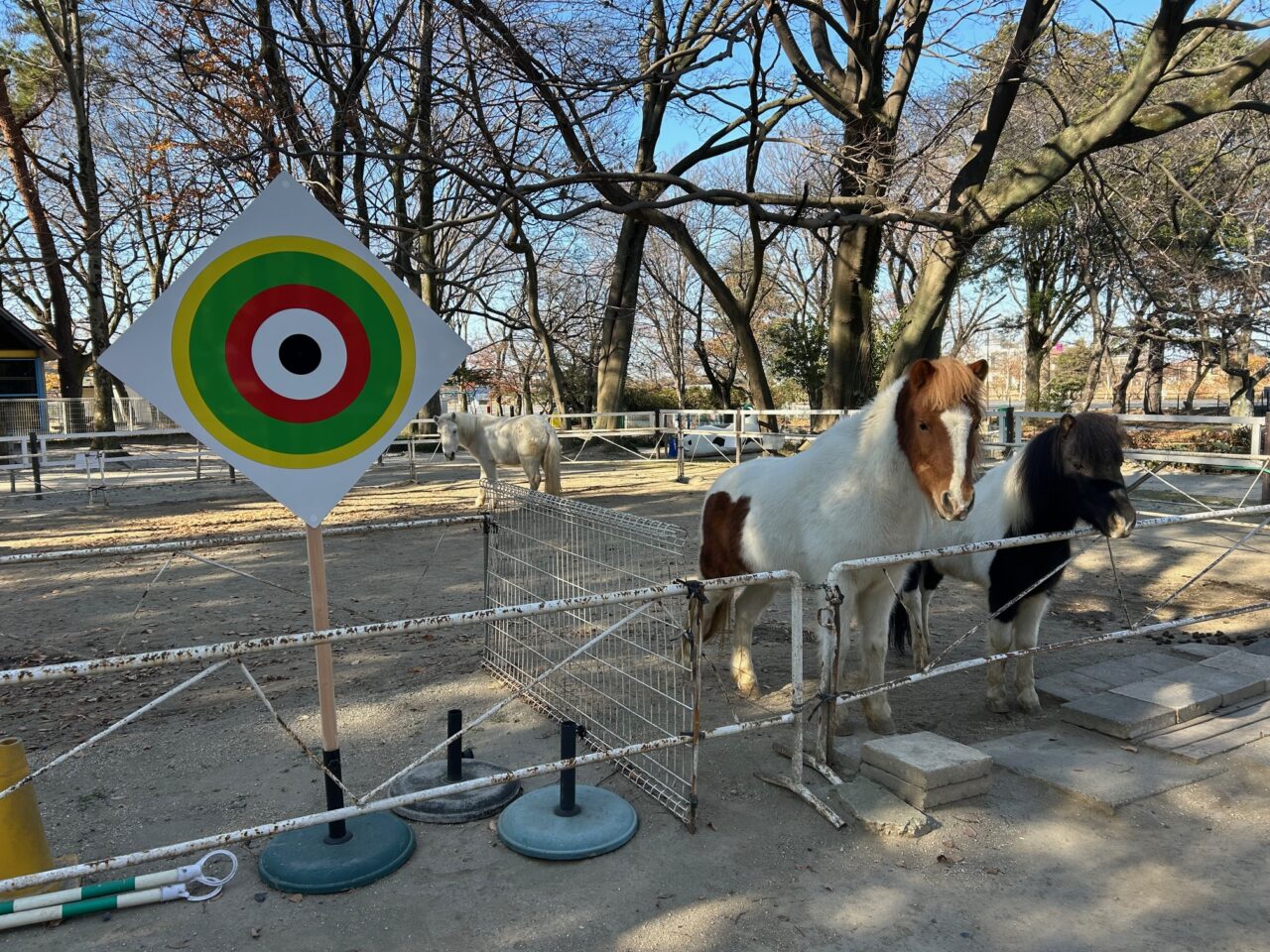 流鏑馬体験の的