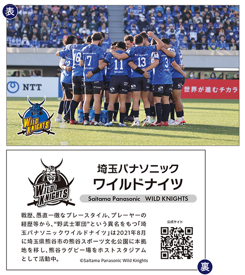 ワイルドナイツ応援入場券の台紙