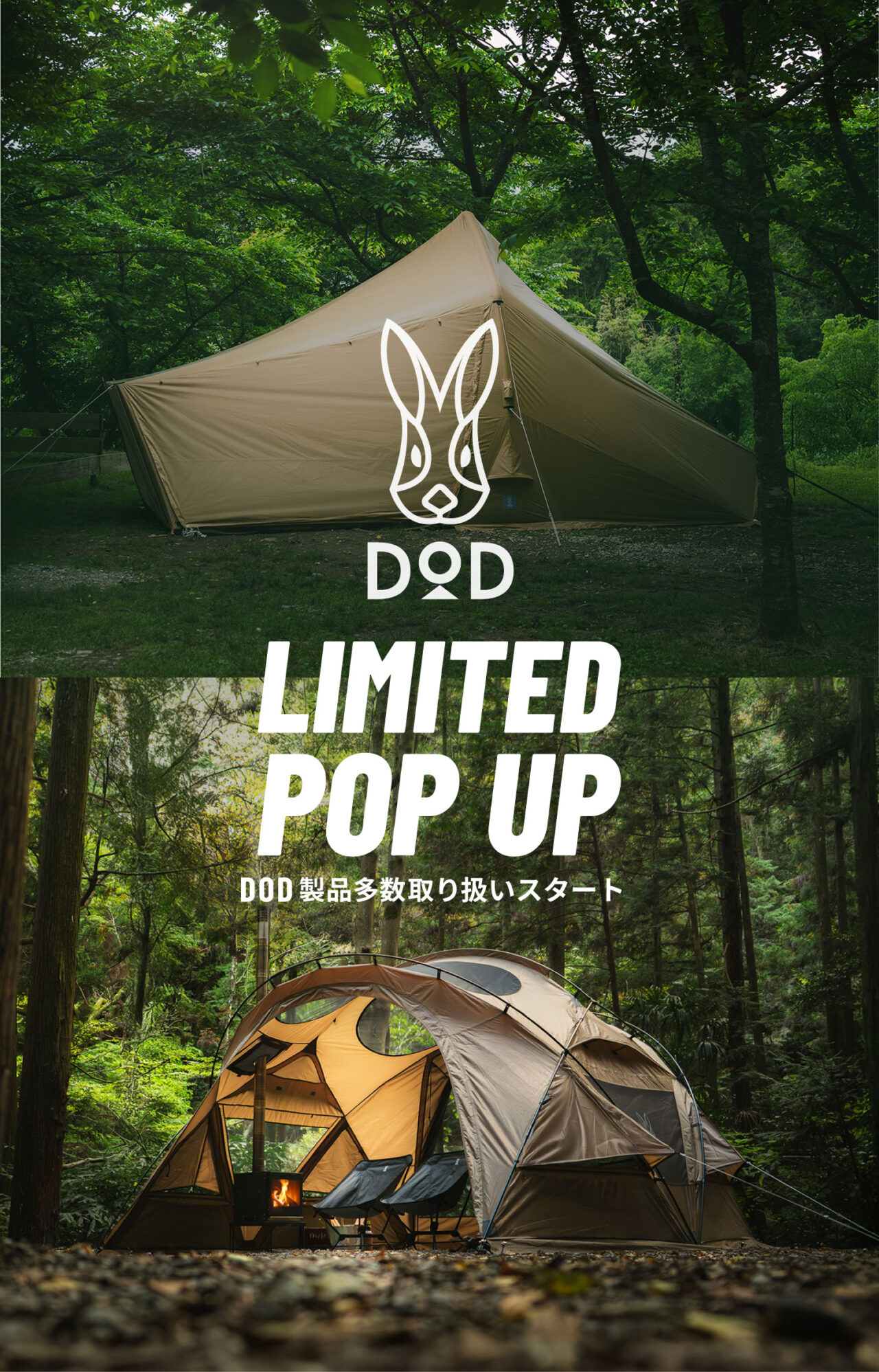 DOD 限定POPUP