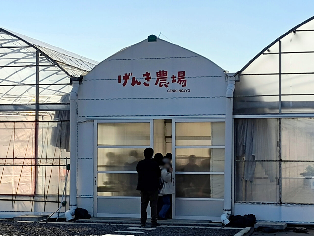 げんき農場のビニールハウス
