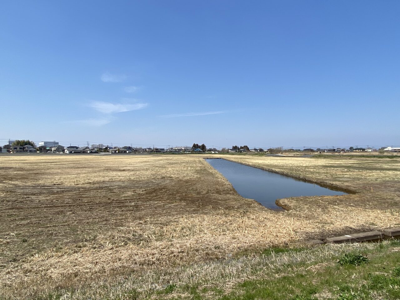 中手子林調節池の上池