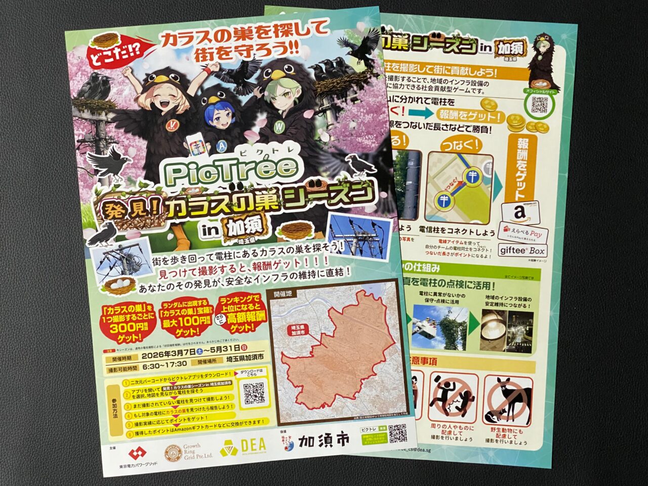 発見！カラスの巣シーズンin加須