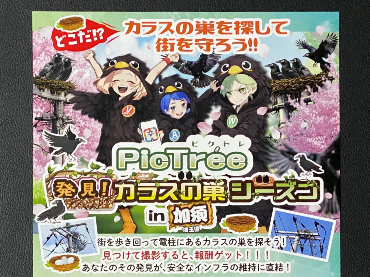 発見！カラスの巣シーズンin加須のチラシの拡大