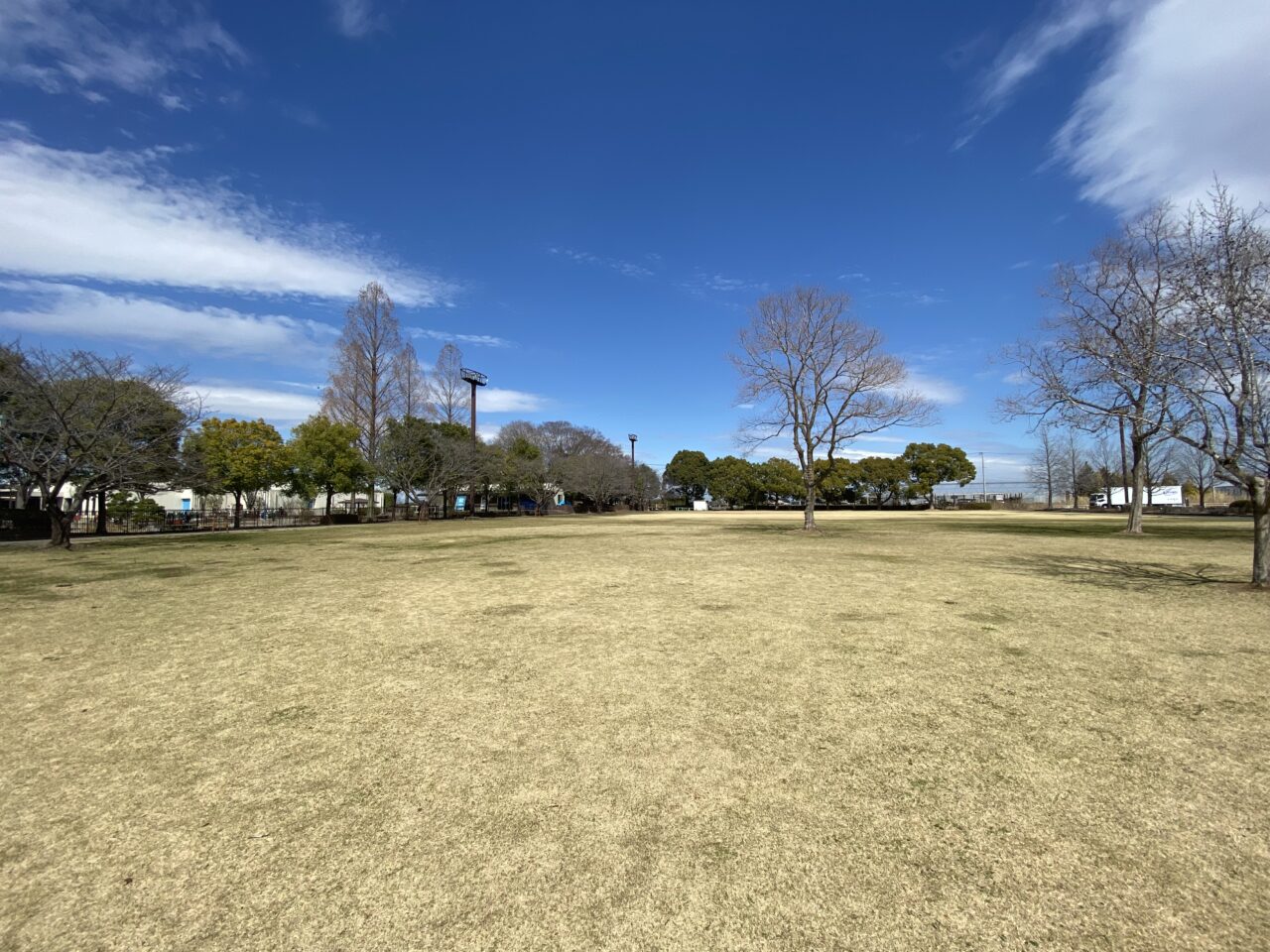 羽生水郷公園の芝生広場