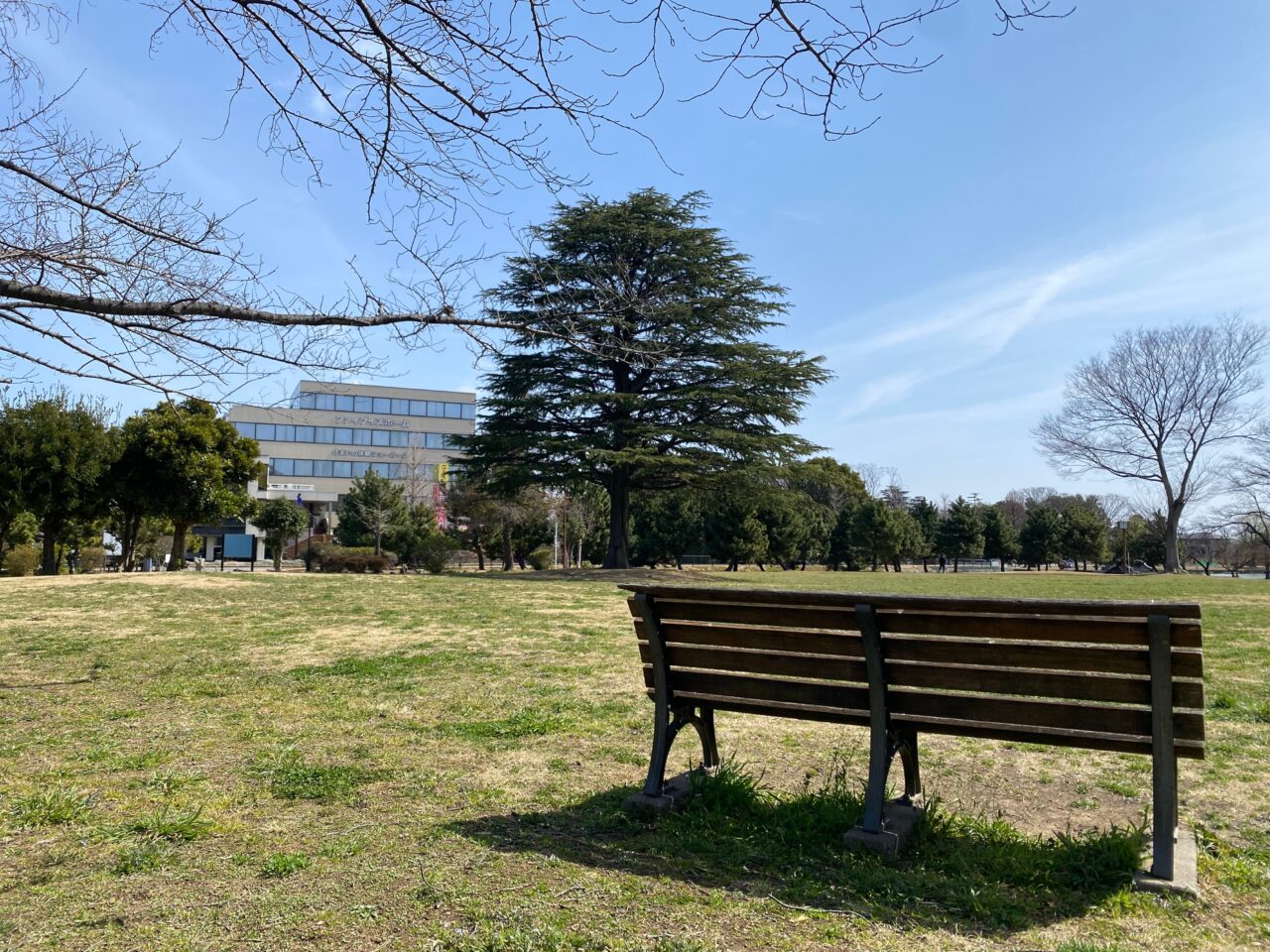 水城公園の芝生広場