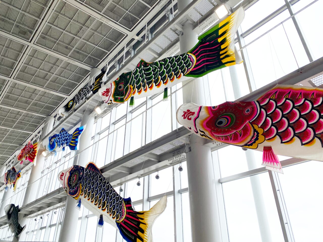 グラスウォールで泳ぐこいのぼりたち