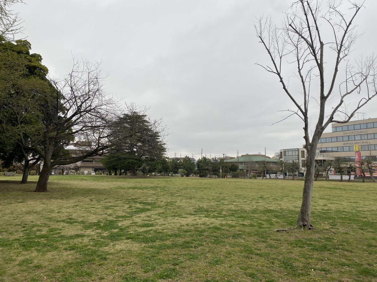 行田水城公園芝生広場