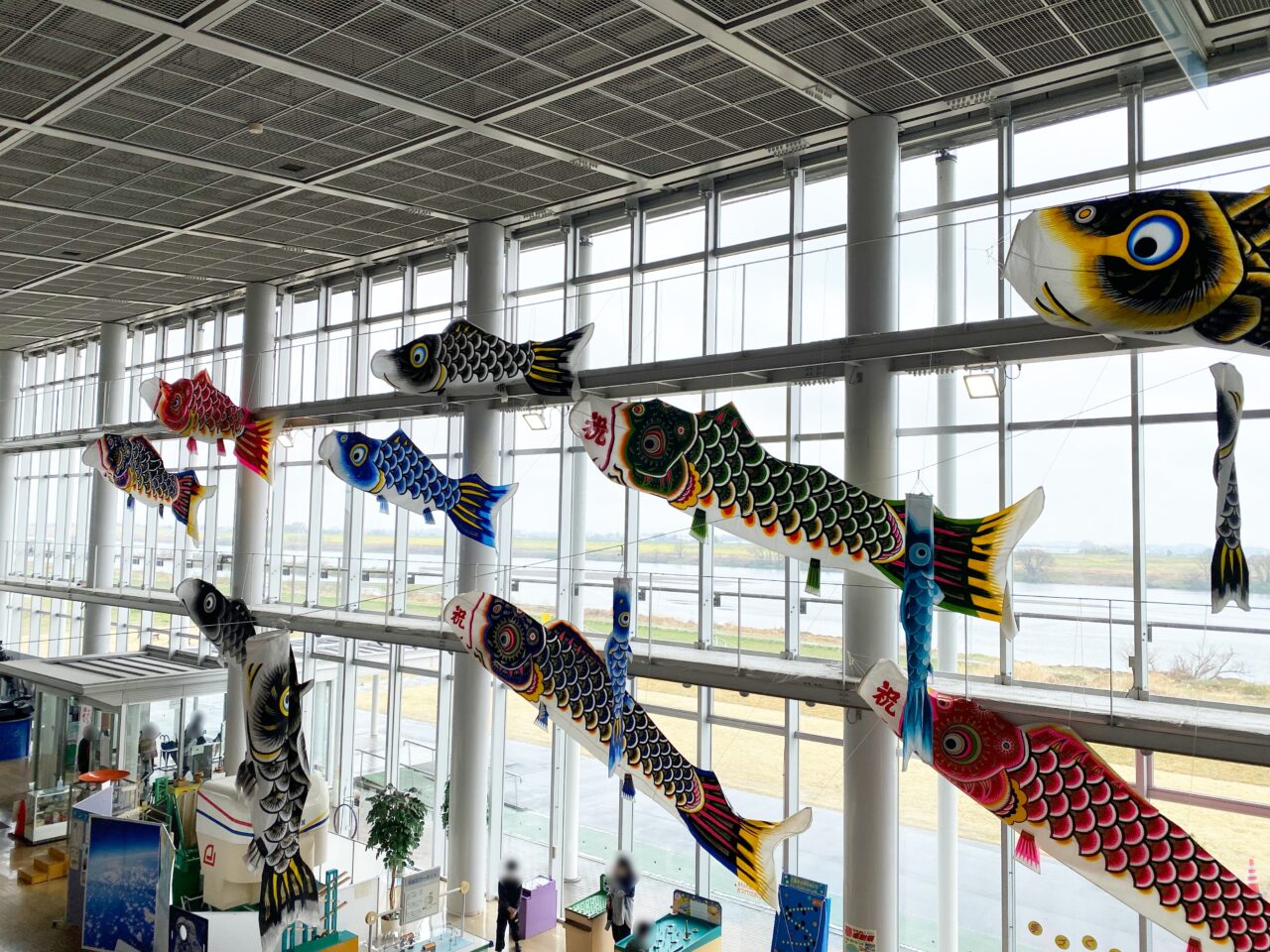 利根川を背景に泳ぐこいのぼり