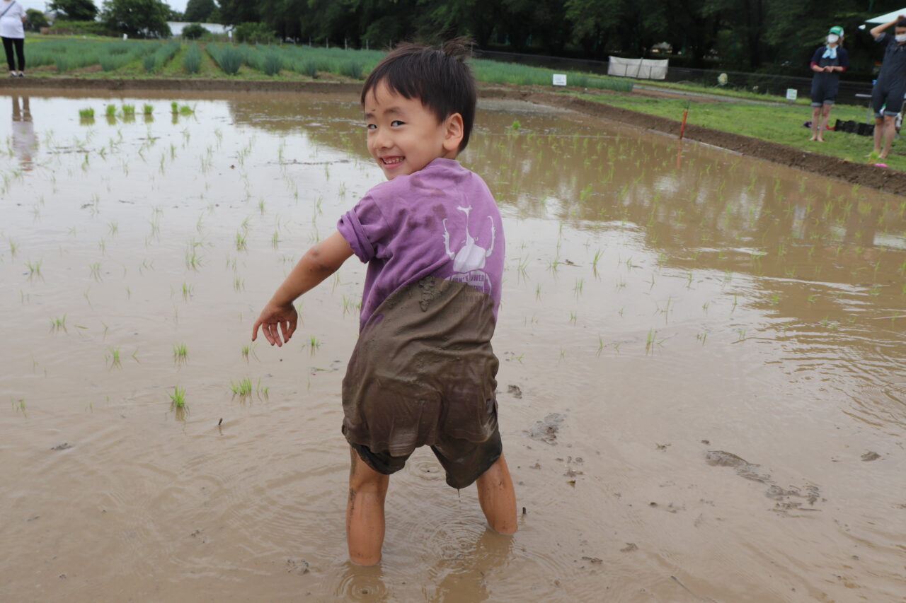 田植え体験を楽しんでいる子ども
