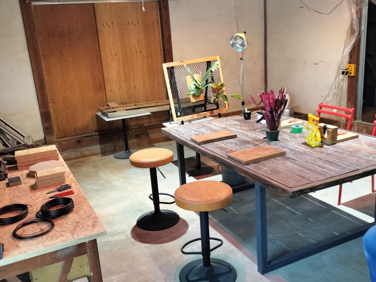 「PavoneGiardino」ビカクシダ板付けワークショップ